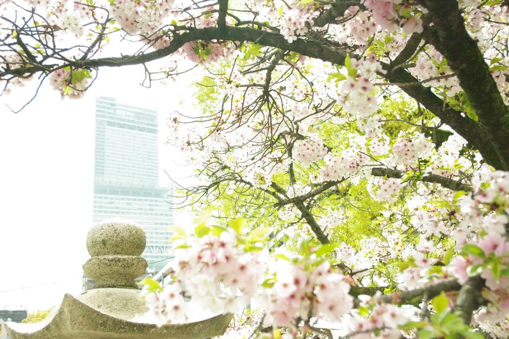 Hotel Casablanca (Adults Only) Osaka Zewnętrze zdjęcie