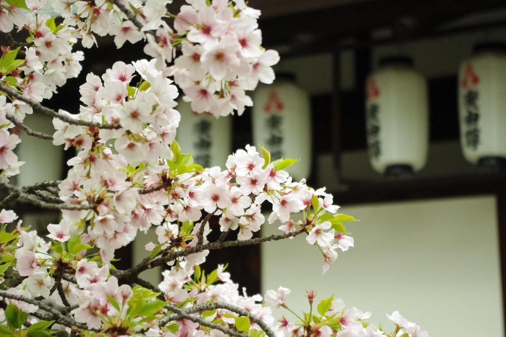 Hotel Casablanca (Adults Only) Osaka Zewnętrze zdjęcie